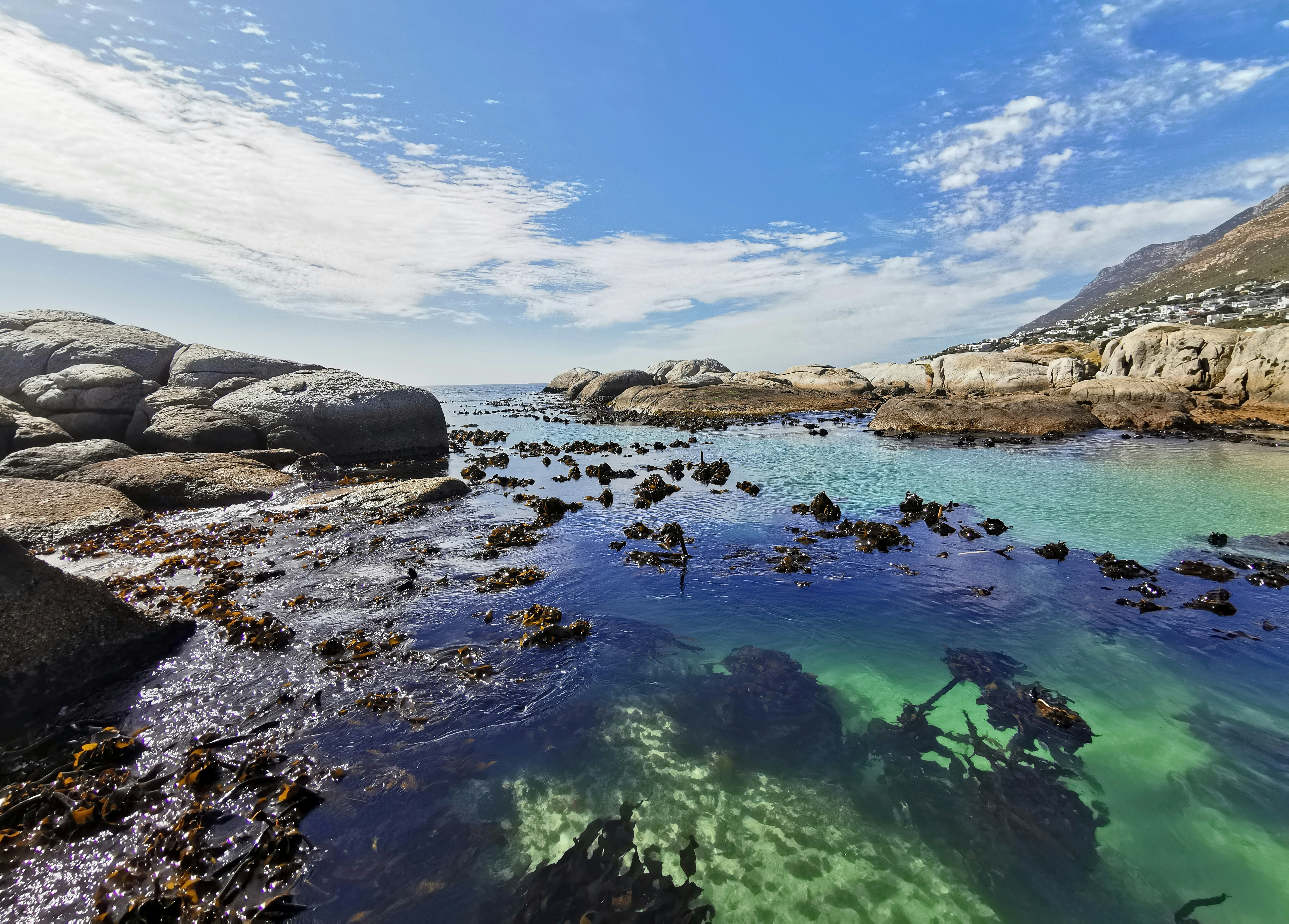 The kelp can be seen in the clear sea water between the rocks at Windmill Beach, South Africa.